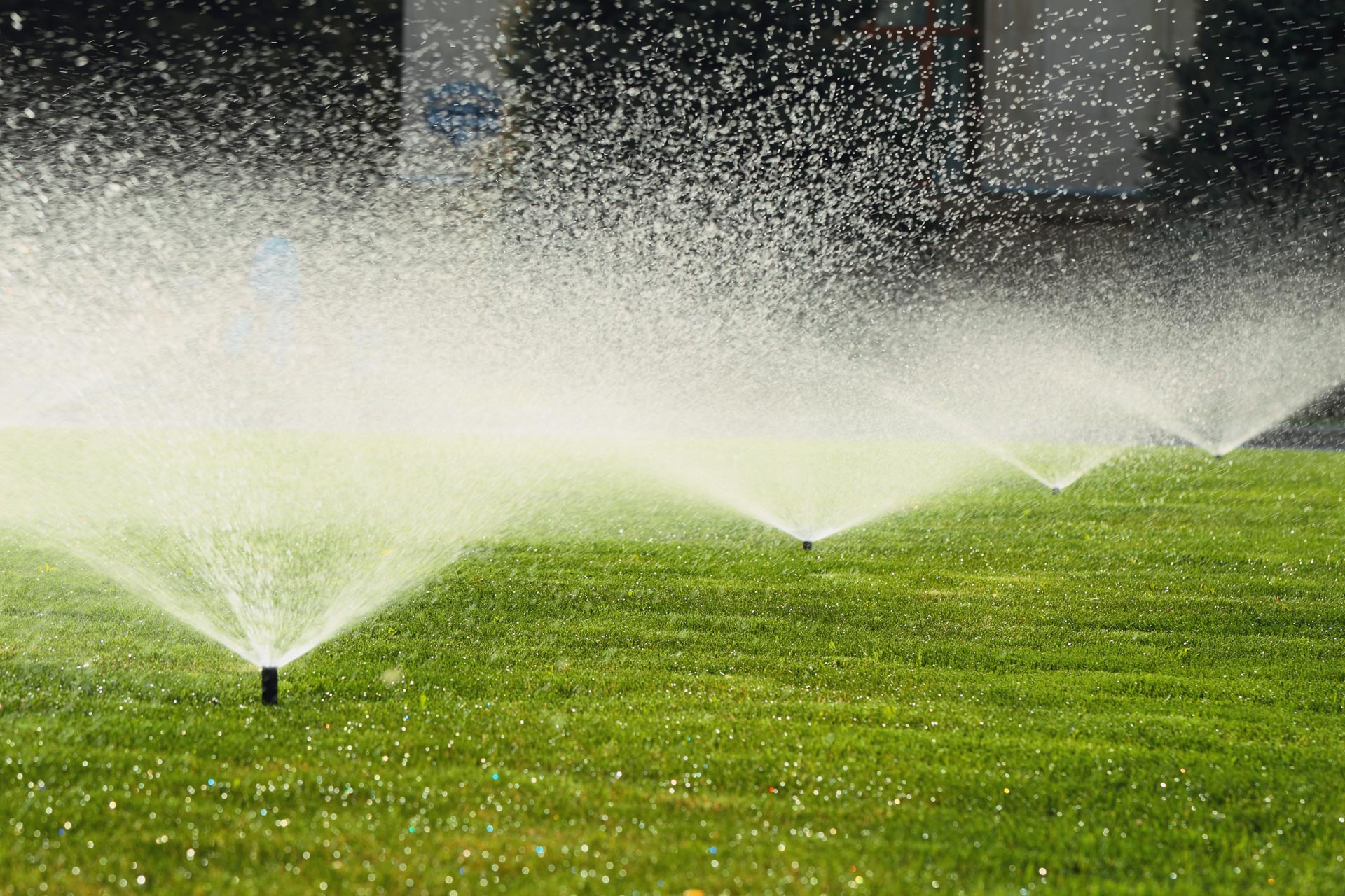 Reticulation Systems Dunsborough Turf Management & Garden Service